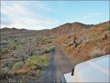 Lincoln Mine Road