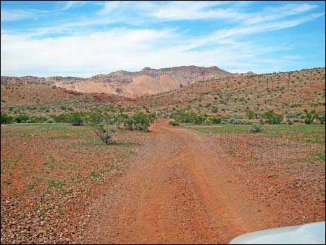 Gold Butte Byway Shortcut Road