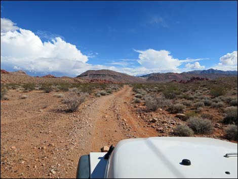 Mud Wash Shortcut Road