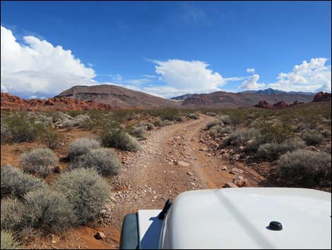 Mud Wash Shortcut Road