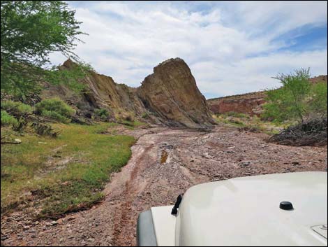 Narrows Road North