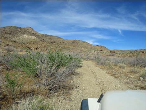 Nevada Mica Mine Road