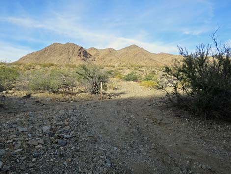 Rattlesnake Wash Road