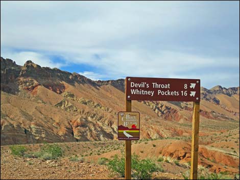 Red Bluff Spring Overlook Road