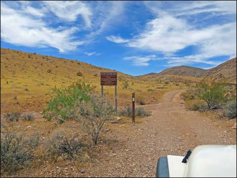 Red Bluff Spring Road