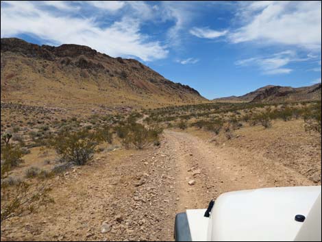 Red Bluff Spring Road