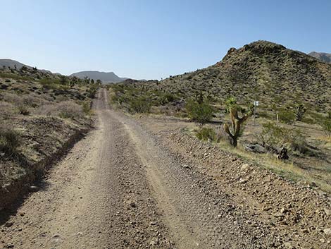 Red Bluff Spring Road