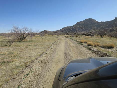 Red Bluff Spring Road