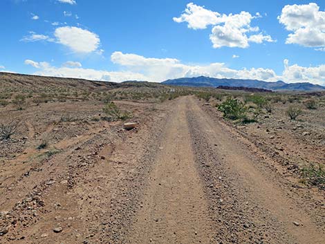 Red Bluff Spring Road