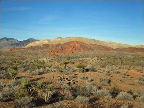 St. Thomas Gap Road