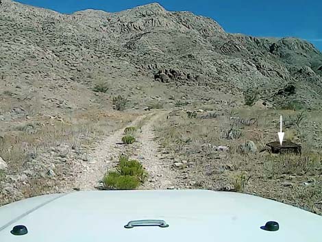 Tramp Mine Road