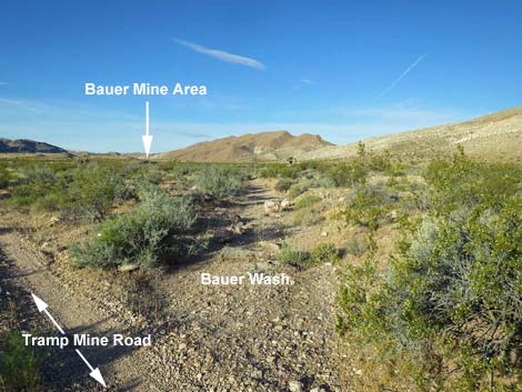 Tramp Mine Road