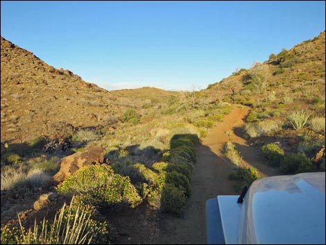 Mica Mine Road