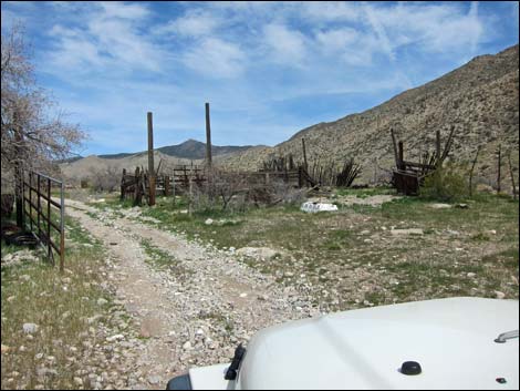 Virgin Peak Road