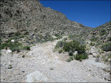 Virgin Peak Road