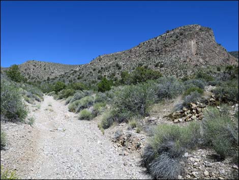 Virgin Peak Road