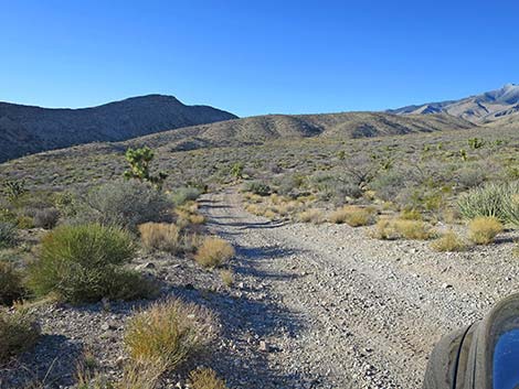 Virgin Peak Road