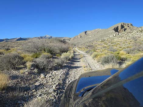 Virgin Peak Road