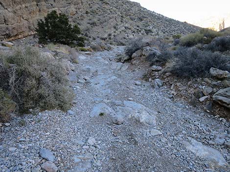 Virgin Peak Road