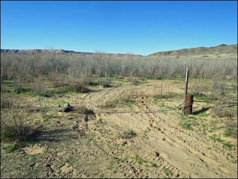 Virgin River Landing Road