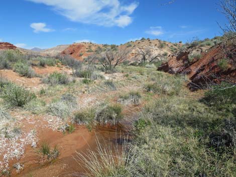 Red Rock Springs