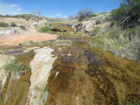 Red Rock Springs