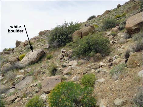 Shark Tooth Peak