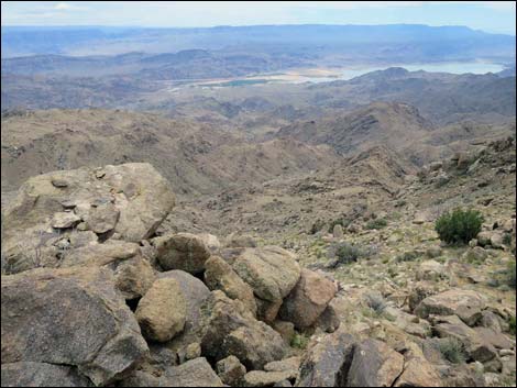 Shark Tooth Peak