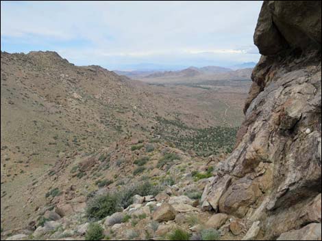 Shark Tooth Peak