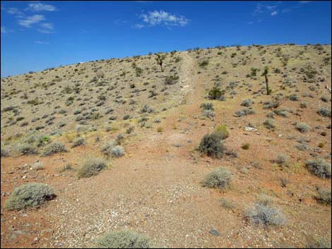 Whitney Pocket Overlook Trail