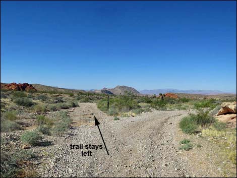 Whitney Pocket Overlook Trail