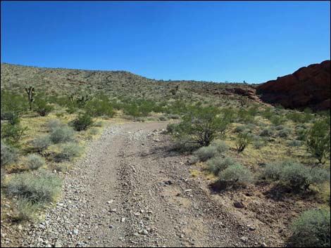 Whitney Pocket Overlook Trail