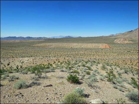 Whitney Pocket Overlook Trail