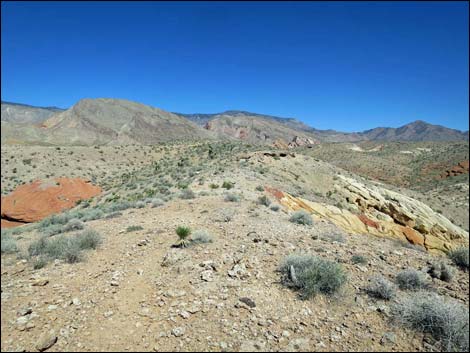 Whitney Pocket Overlook Trail