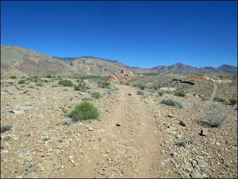 Whitney Pocket Overlook Trail