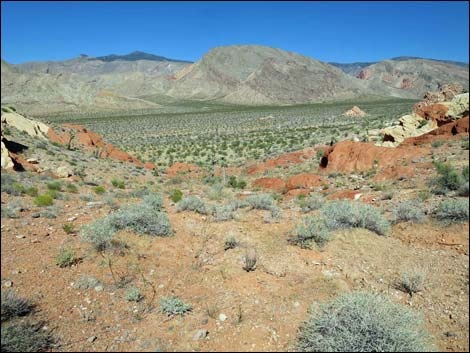 Whitney Pocket Overlook Trail