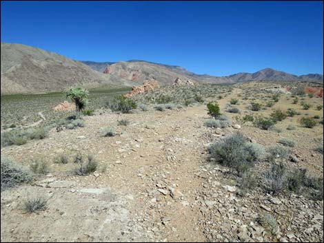 Whitney Pocket Overlook Trail