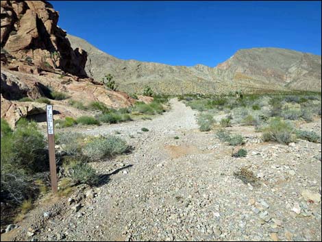 Whitney Pocket Overlook Trail