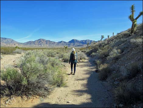 Wechech Basin Loop