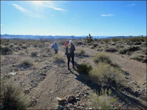 Wechech Basin Loop