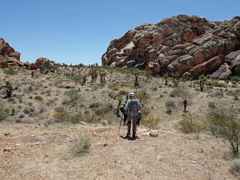 Whitney Wash