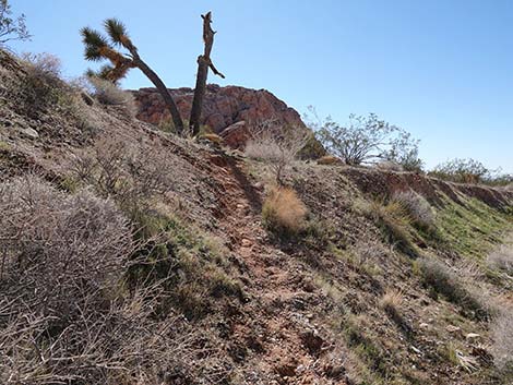 Whitney Wash