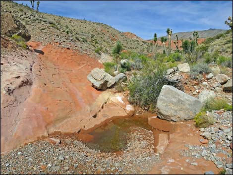 Whitney Wash