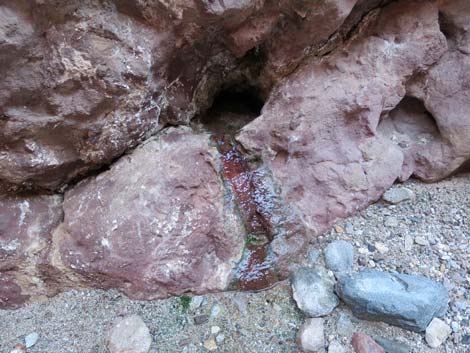 Arizona Hot Spring