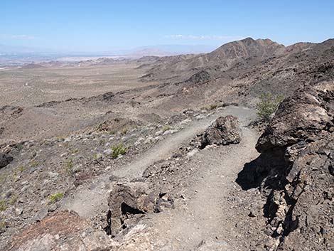 Black Mountain Overlook Trail