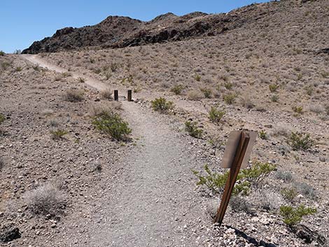 Black Mountain Overlook Trail