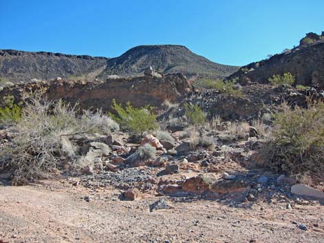 rocky ridge (view W)