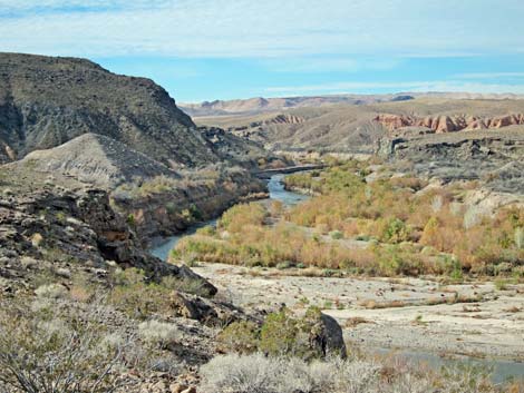 Bluff Trail