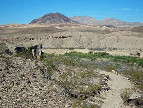 Bluff Trail