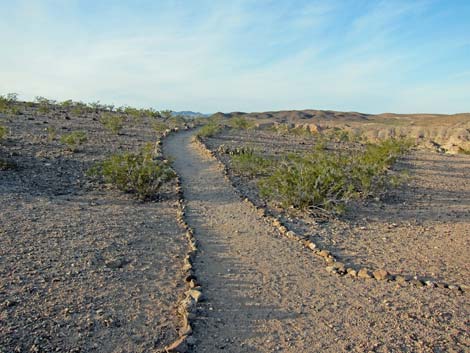 Bluff Trail